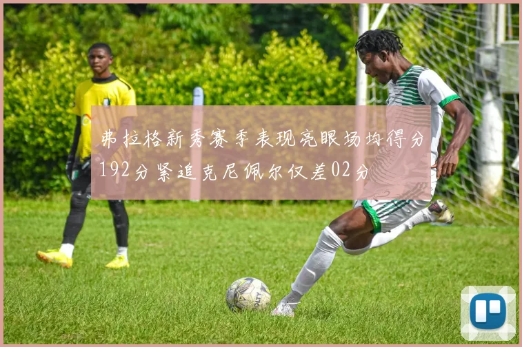 弗拉格新秀赛季表现亮眼场均得分192分紧追克尼佩尔仅差02分