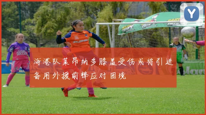 海港队莱昂纳多膝盖受伤或将引进备用外援前锋应对困境