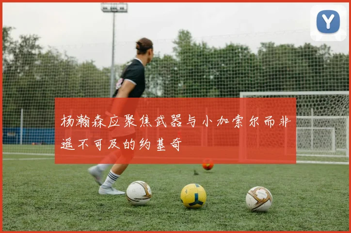 杨瀚森应聚焦武器与小加索尔而非遥不可及的约基奇